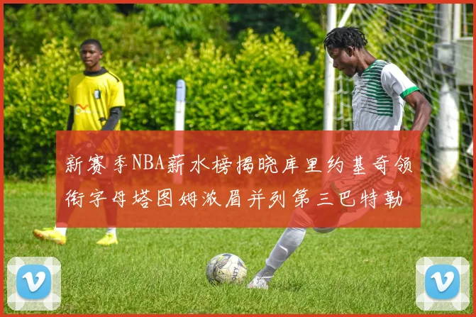 新赛季NBA薪水榜揭晓库里约基奇领衔字母塔图姆浓眉并列第三巴特勒排名第十